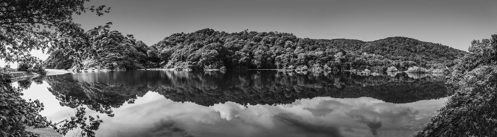 Reflection of trees in lake against sky