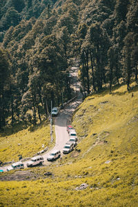 High angle view of road amidst trees in forest