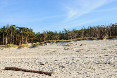 Scenic view of land against sky