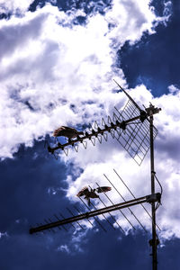 cloud
