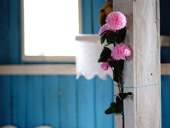 Close-up of flower against window