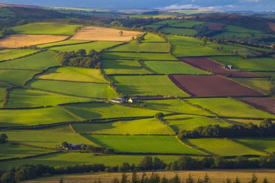 Aerial view of patchwork landscape