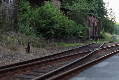 Railroad tracks amidst trees