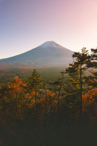 Scenic view of landscape against clear sky