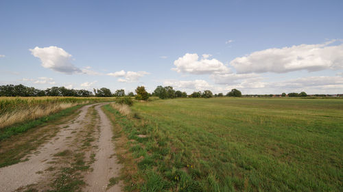 Scenic view of field against sky