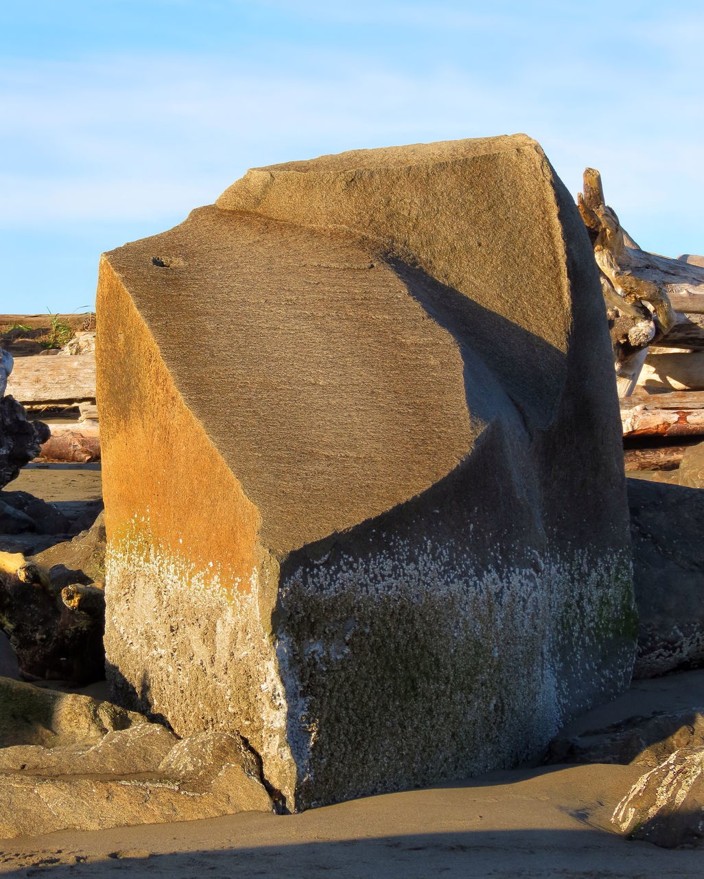 CLOSE-UP OF OLD ROCK ON SHORE