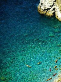 Aerial view of kayaks in blue sea