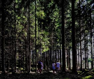 People walking in forest against sky