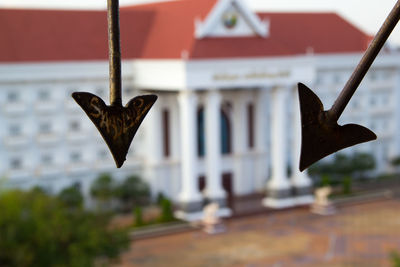 Close-up of leaf hanging on wall