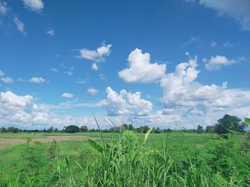 Scenic view of field against sky