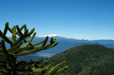 Scenic view of mountains against clear blue sky