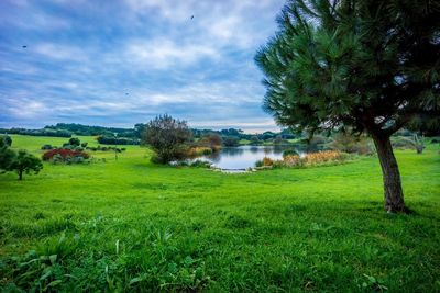 Scenic view of grassy field against cloudy sky