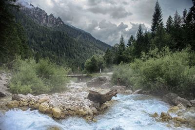 Scenic view of river flowing amidst trees against sky