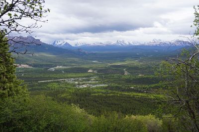 Scenic view of landscape at denali national park