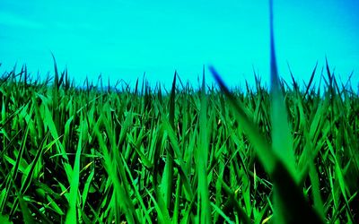 View of green field against cloudy sky