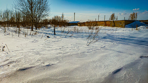 Snow covered field against sky trees on the background of snowdrifts