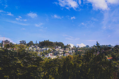 Trees and plants growing in town against sky