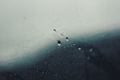 Close-up of raindrops on glass window