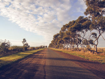 Road amidst trees on field against sky