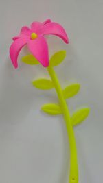 Close-up of flower over white background