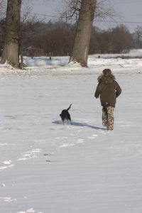 View of birds on snow covered land