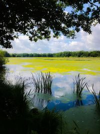 Scenic view of lake against sky