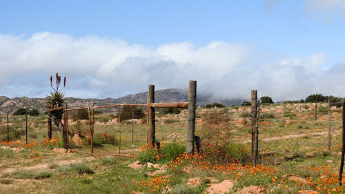 Scenic view of landscape against sky at namaqualand