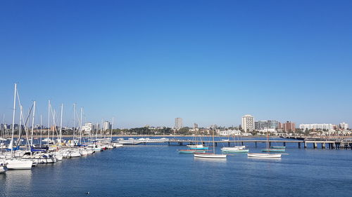 Sailboats moored in harbor by buildings against clear blue sky