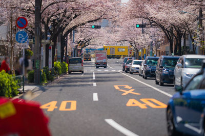 Cars on street in city