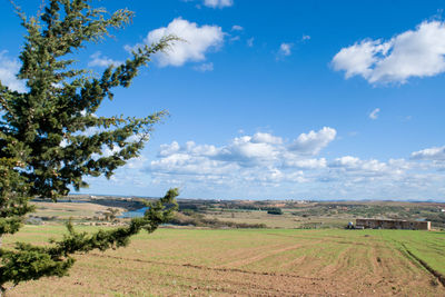 Scenic view of agricultural field against sky
