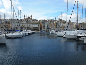 Sailboats moored in harbor