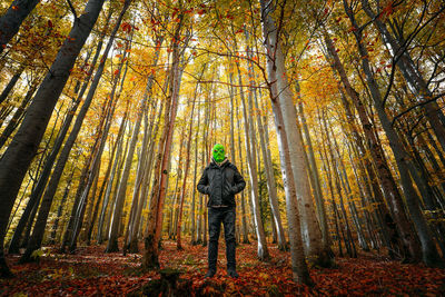 Alien in autumn forest