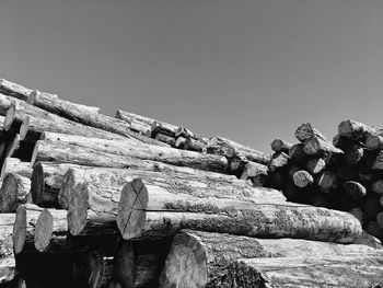 Stack of logs against clear sky