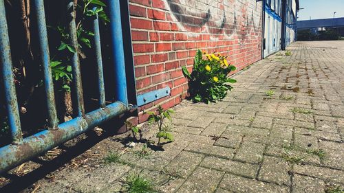 Built structure against brick wall
