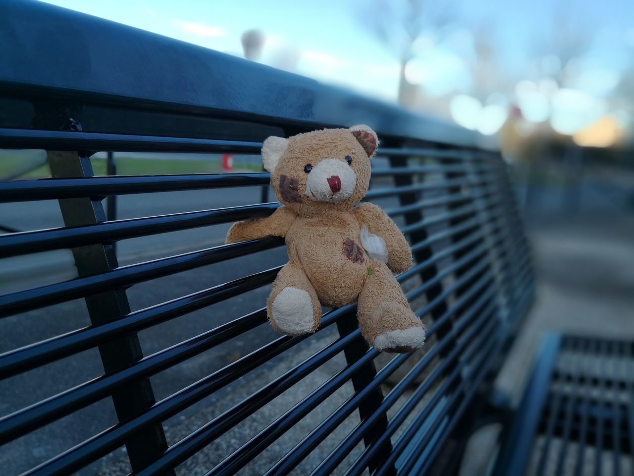 teddy bear, stuffed toy, toy, childhood, no people, day, outdoors, close-up, nature, sky