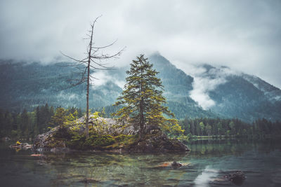 Scenic view of lake by trees against sky