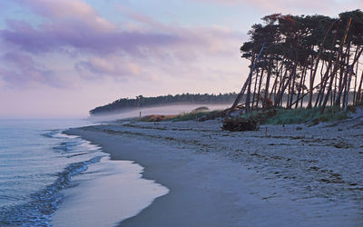 Scenic view of beach against sky during sunset