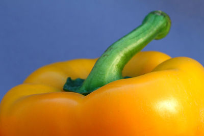 Close-up of yellow bell peppers against blue background