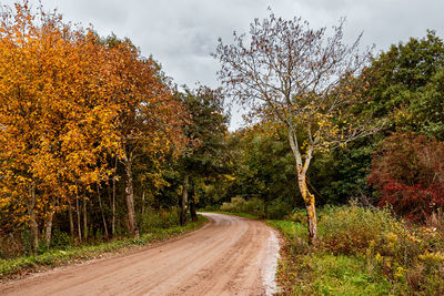 Road amidst trees against sky during autumn