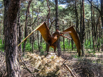 Horse in a forest