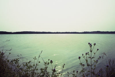 Scenic view of lake against clear sky
