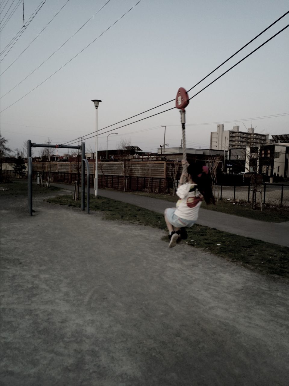 animal themes, one animal, built structure, architecture, domestic animals, clear sky, building exterior, sky, transportation, full length, road, street, connection, dog, mammal, outdoors, walking, day, power line, pets