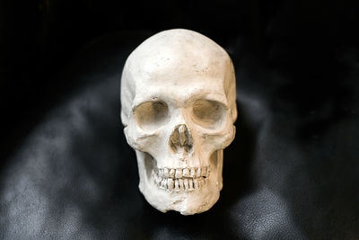 Close-up of human skull