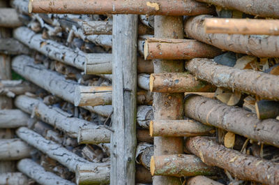 Full frame shot of firewood