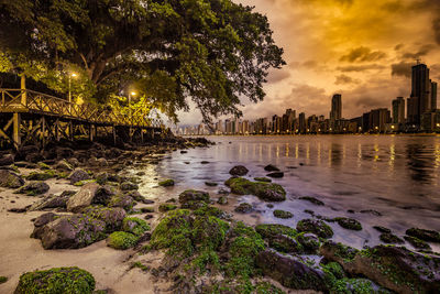 Trees by illuminated buildings against sky at sunset