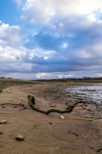 Scenic view of beach against cloudy sky