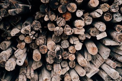 Full frame shot of logs in forest