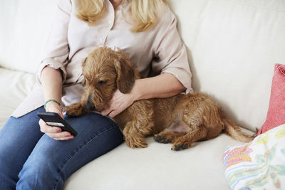 Midsection of woman with dog using mobile phone while sitting on sofa at home