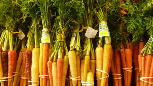 Close-up of carrots for sale