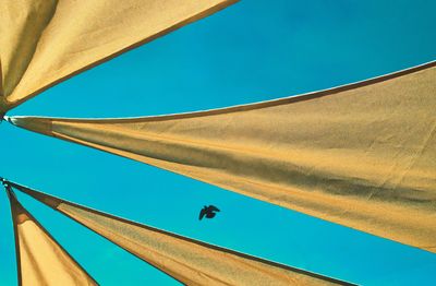 Low angle view of bird flying over parasol against clear blue sky